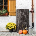 Zbiornik Evergreen lite 300 l ciemny brąz